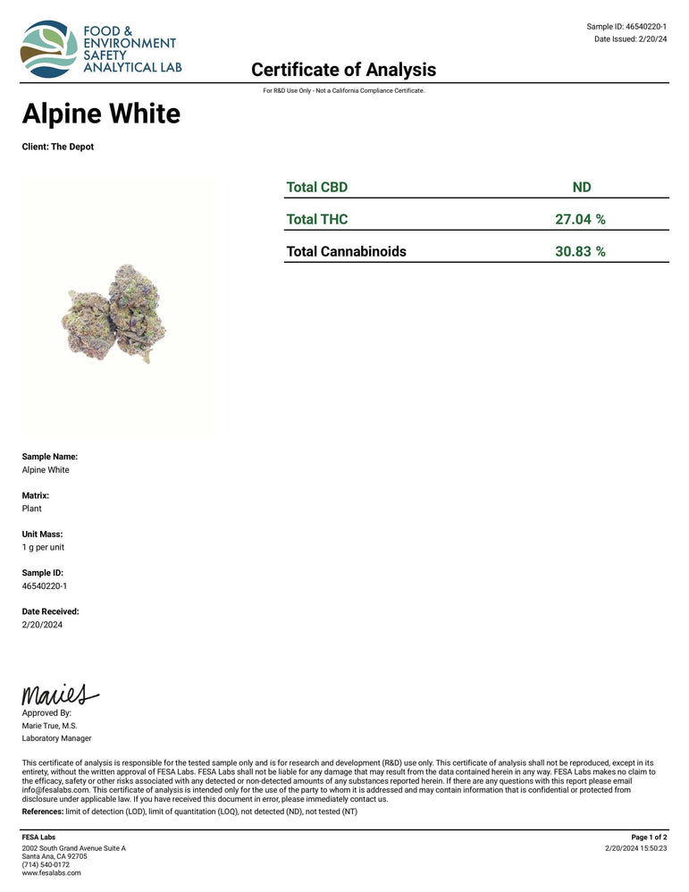 Koi Alpine White cannabis flower shown as two dense, pale green buds with purple and orange pistils