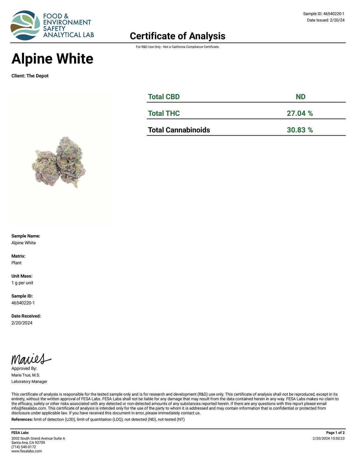 Koi Alpine White cannabis flower shown as two dense, pale green buds with purple and orange pistils